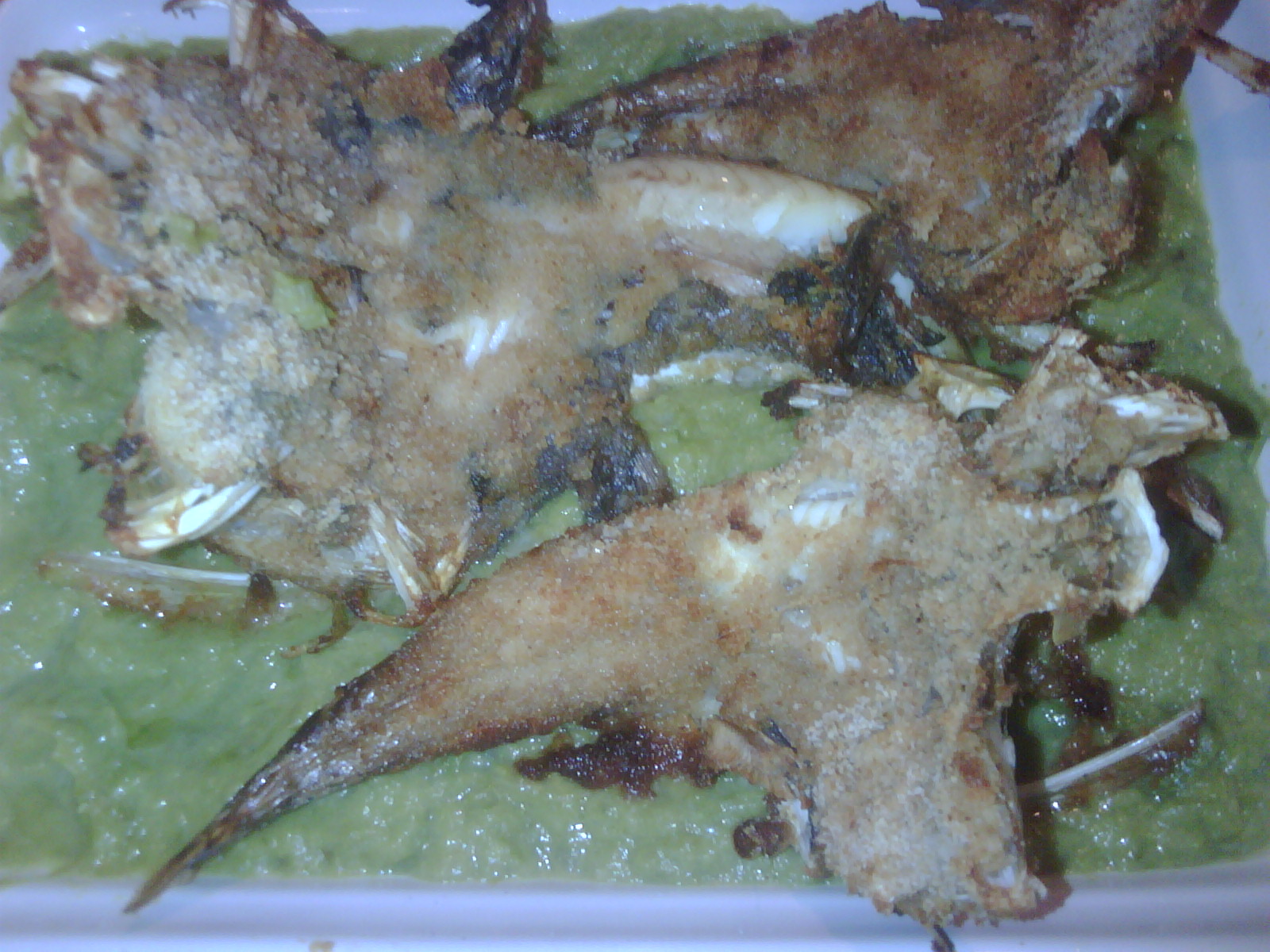 polpette pesce